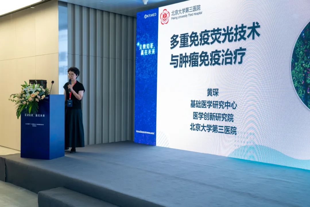 十大滚球体育app