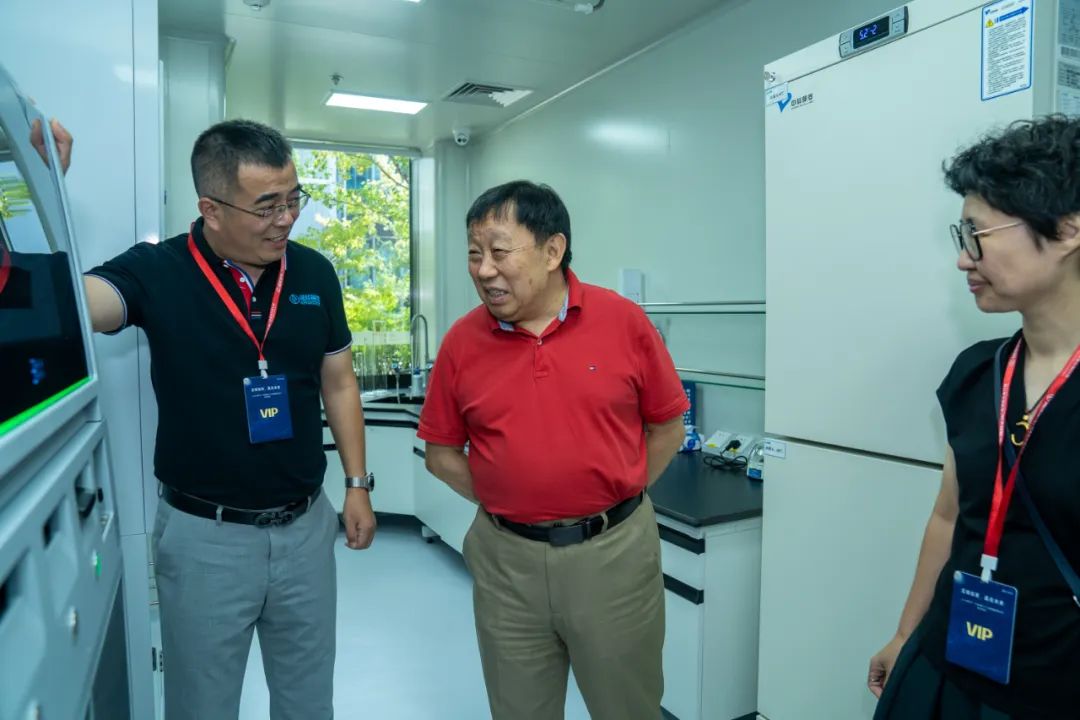 十大滚球体育app