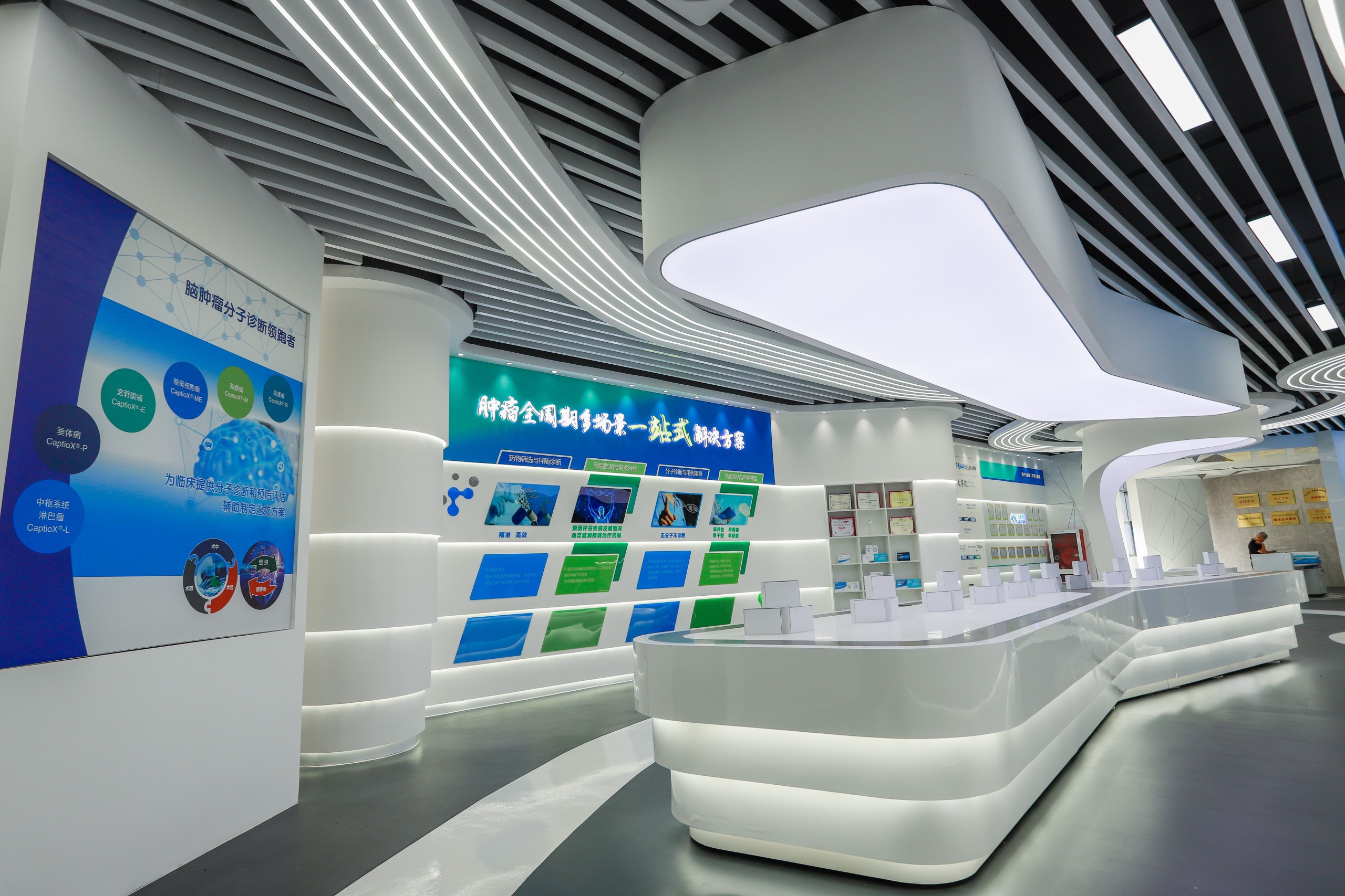 十大滚球体育app