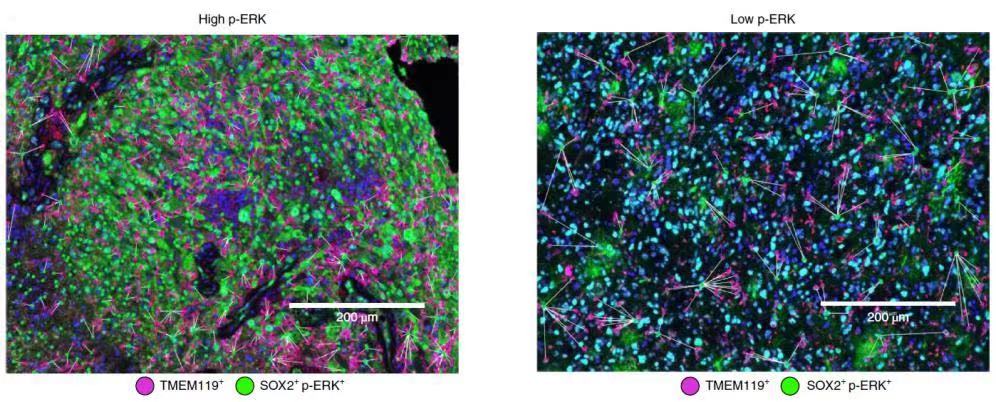 十大滚球体育app