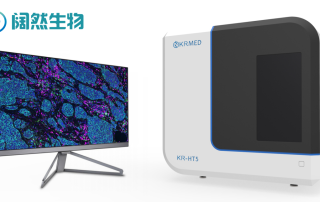 十大滚球体育app