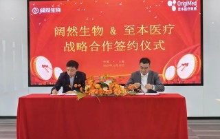 十大滚球体育app