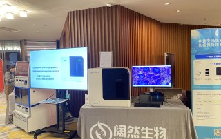 十大滚球体育app