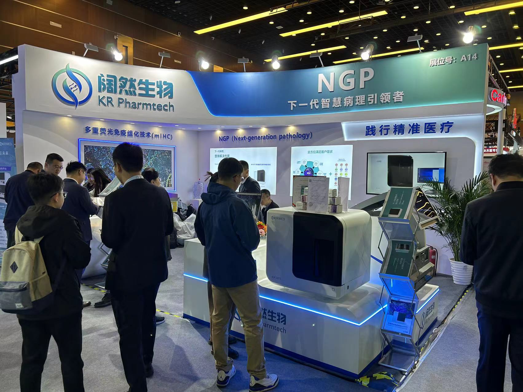 十大滚球体育app