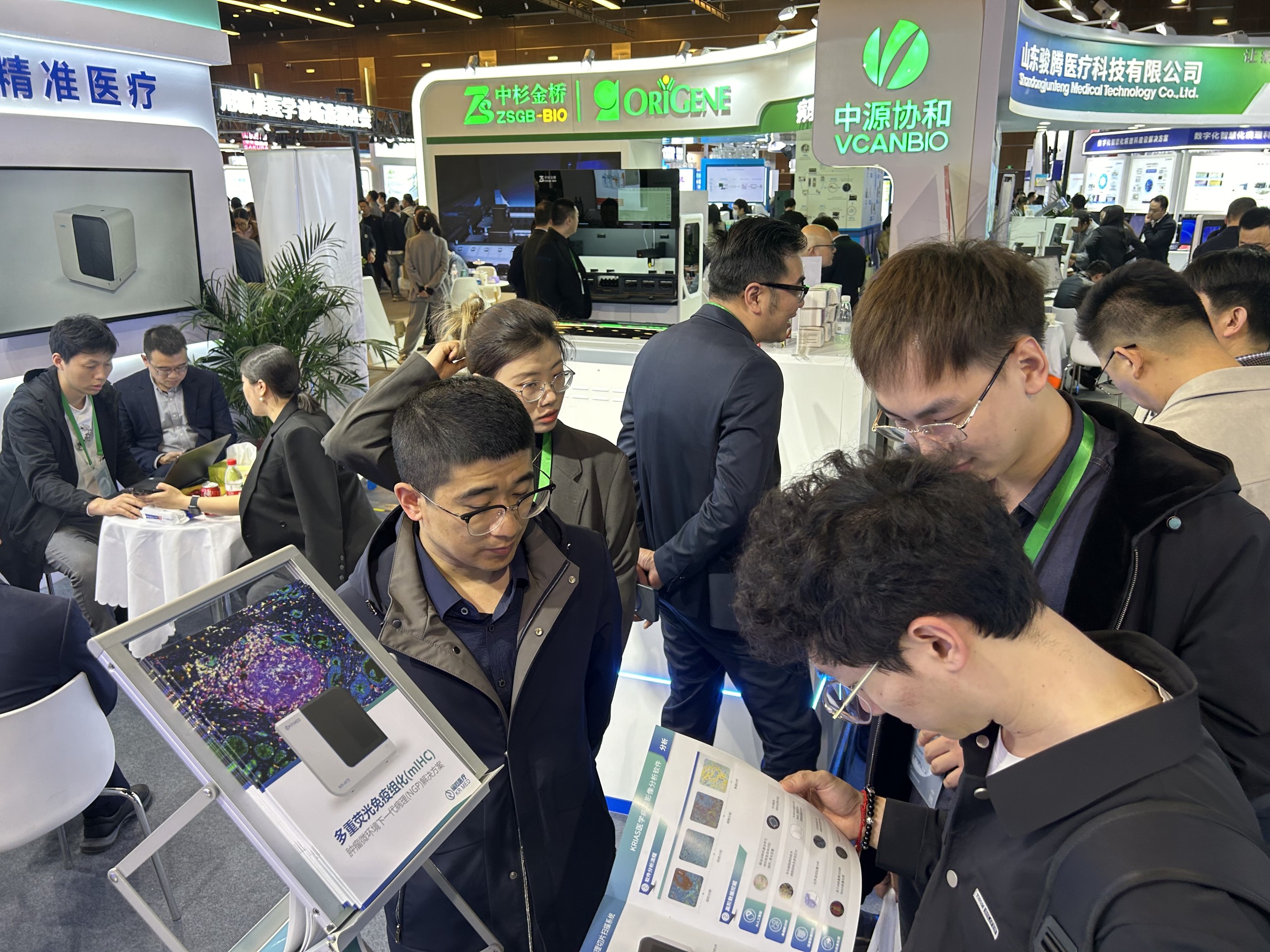 十大滚球体育app