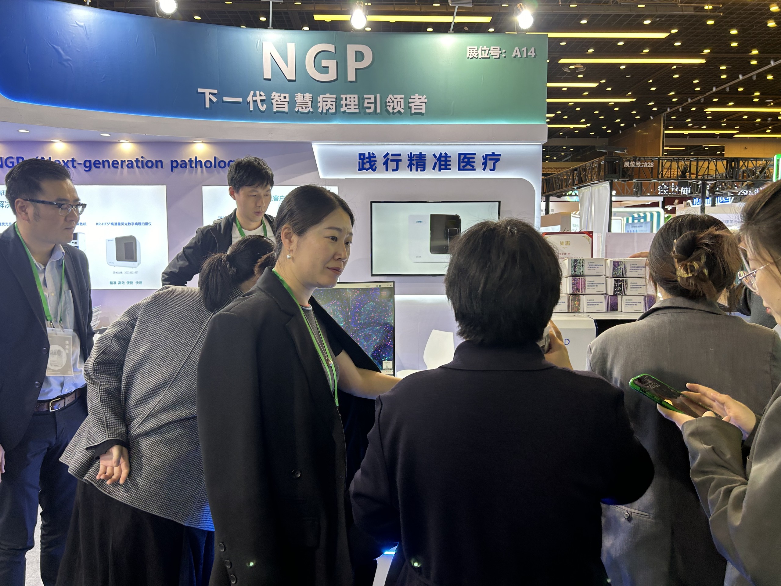 十大滚球体育app