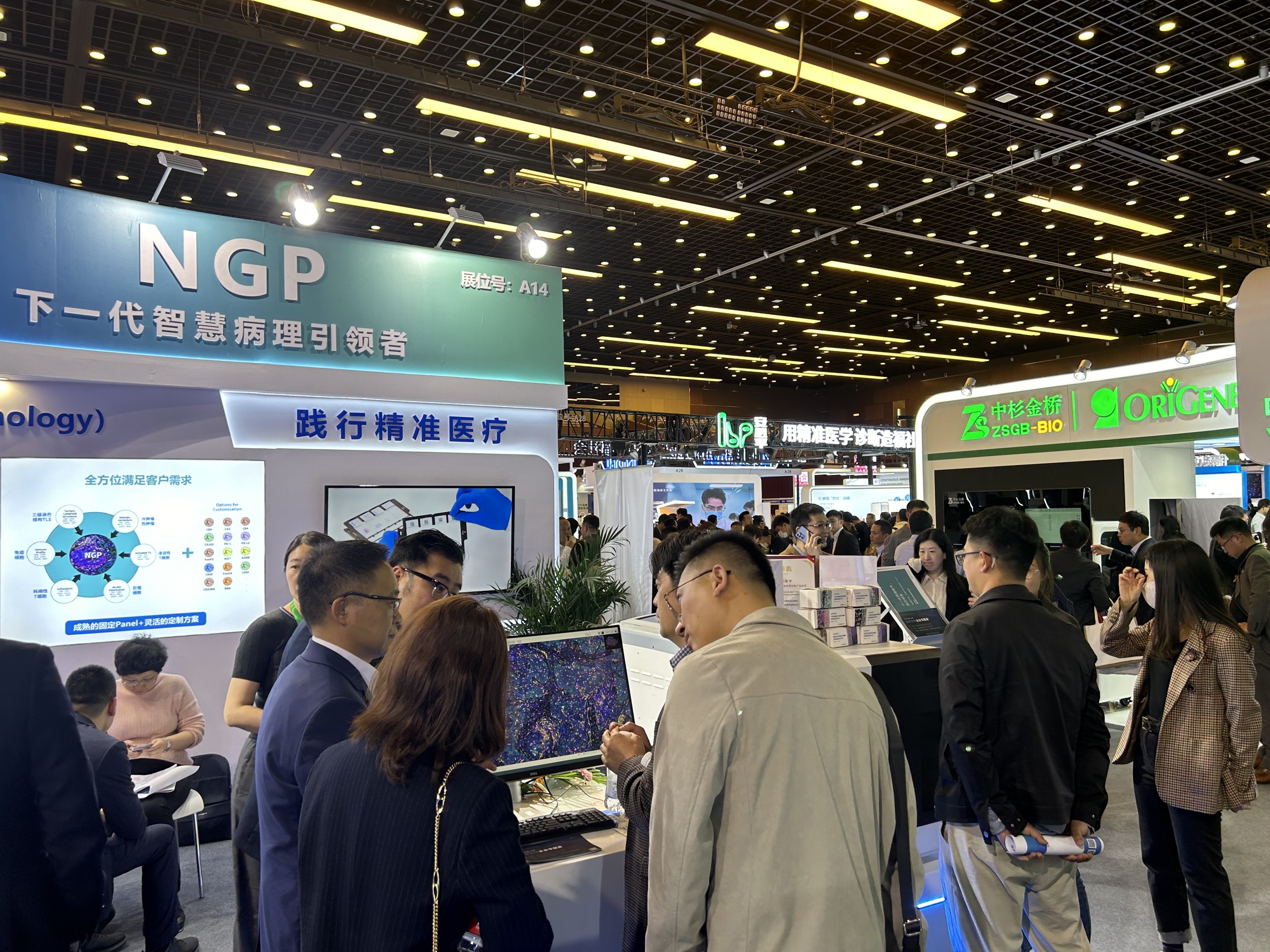 十大滚球体育app