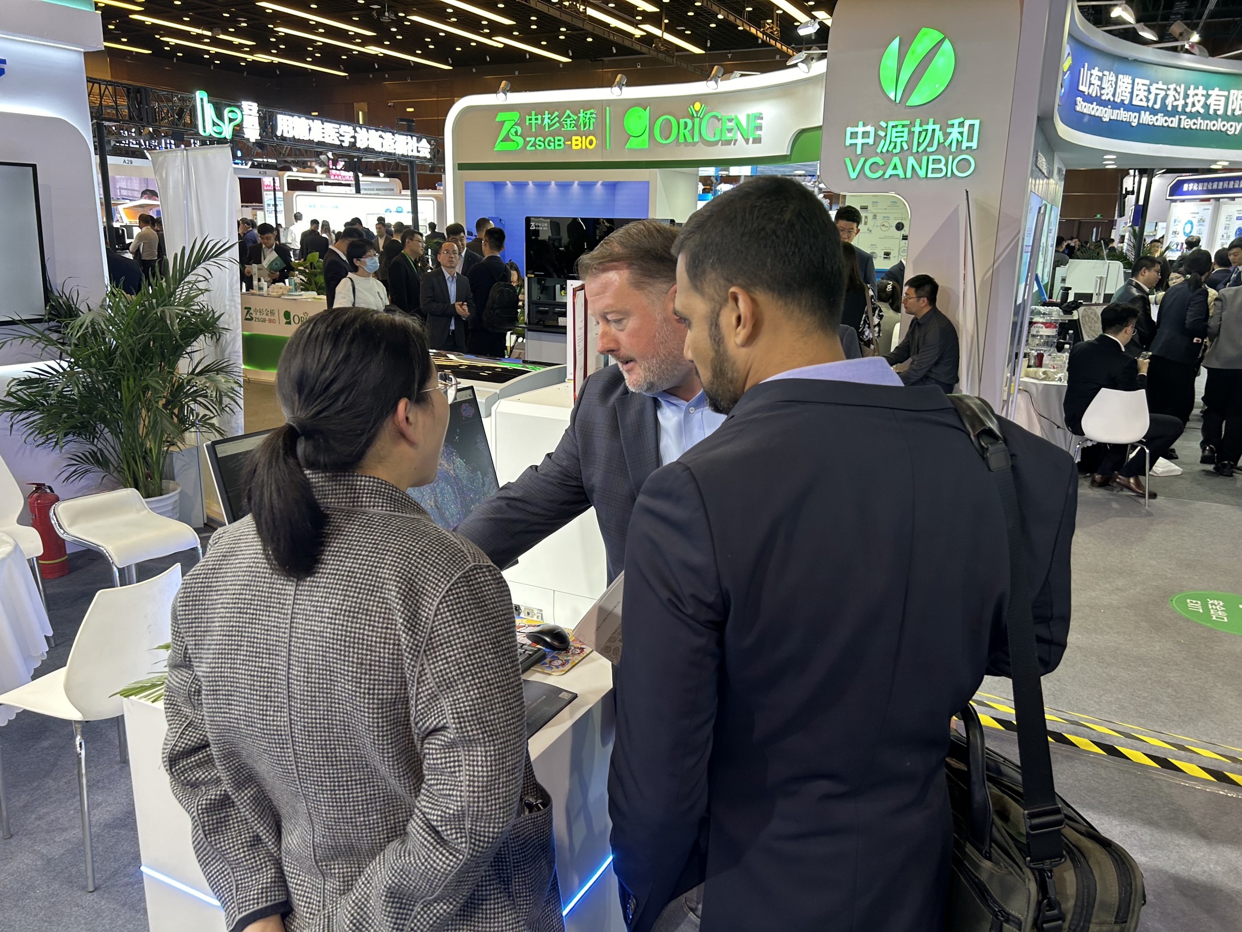 十大滚球体育app