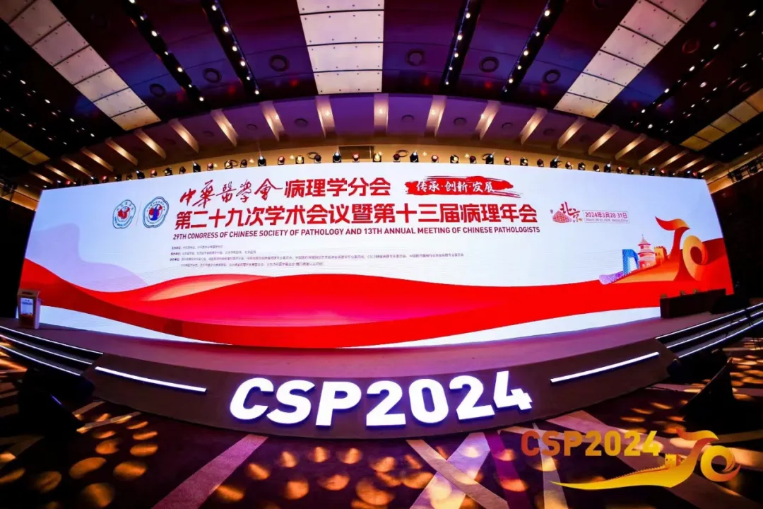 十大滚球体育app