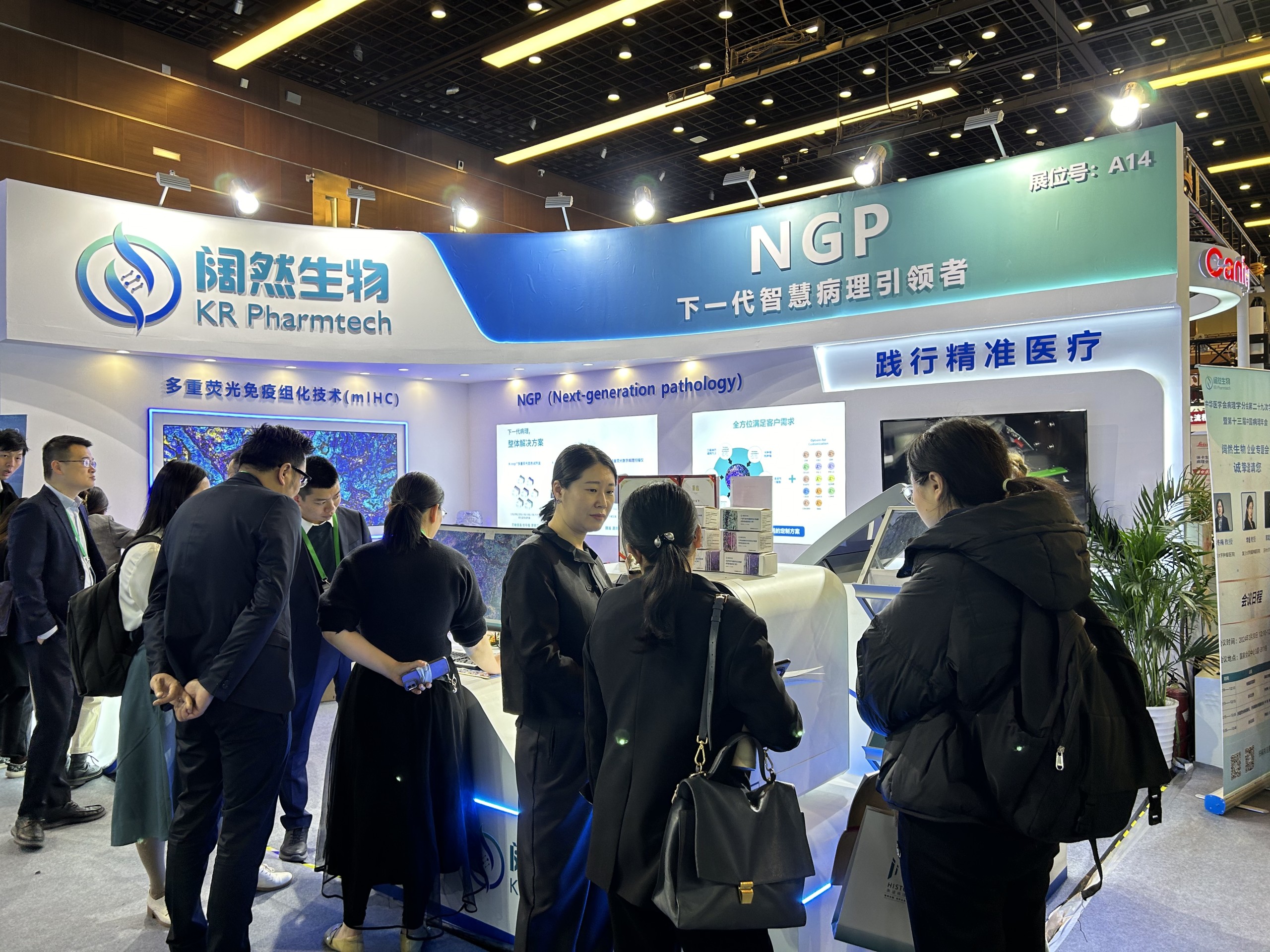 十大滚球体育app