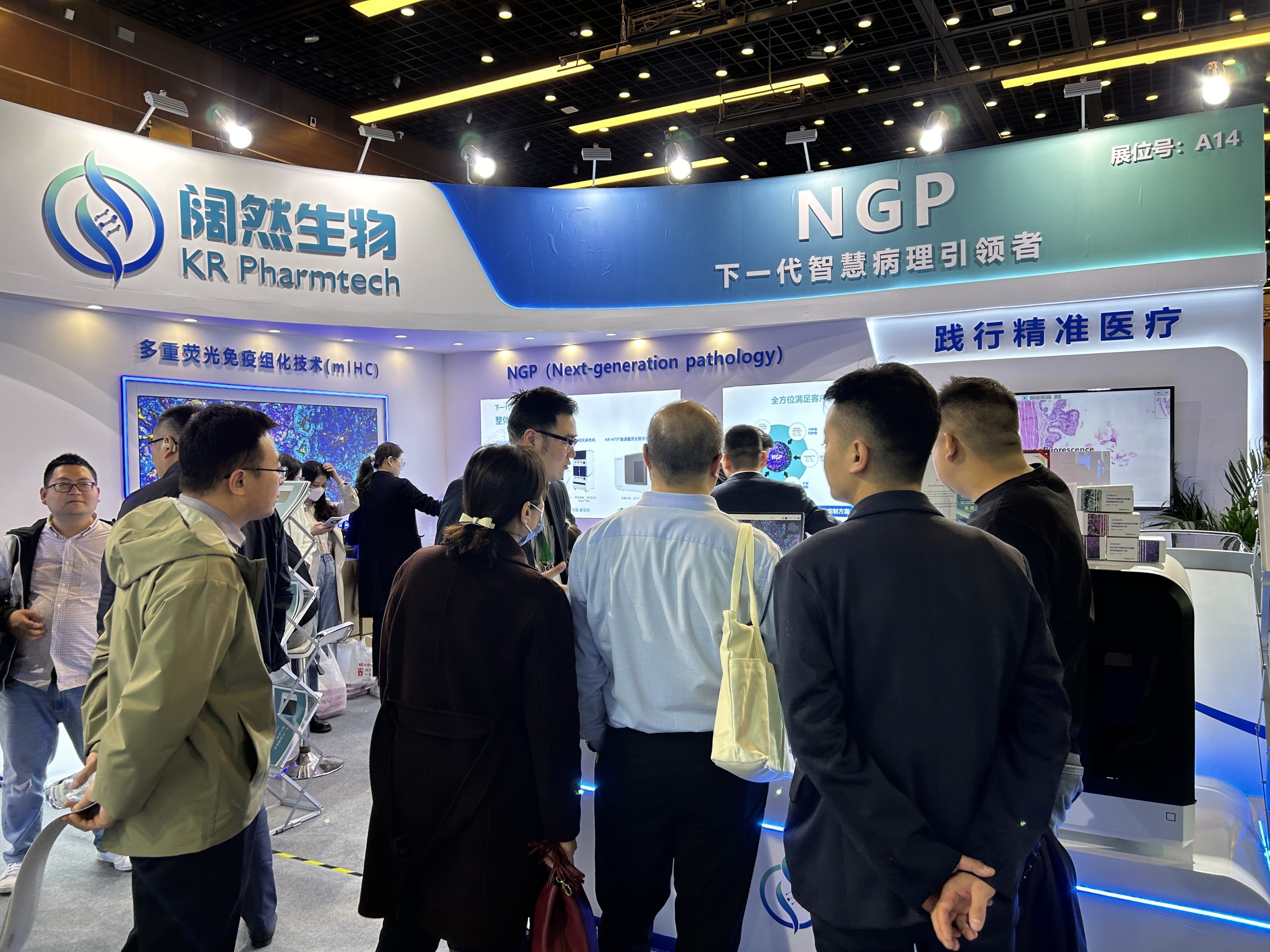 十大滚球体育app