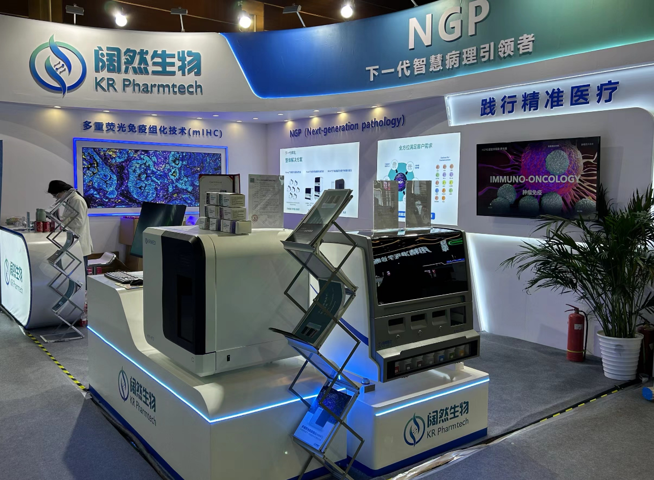 十大滚球体育app