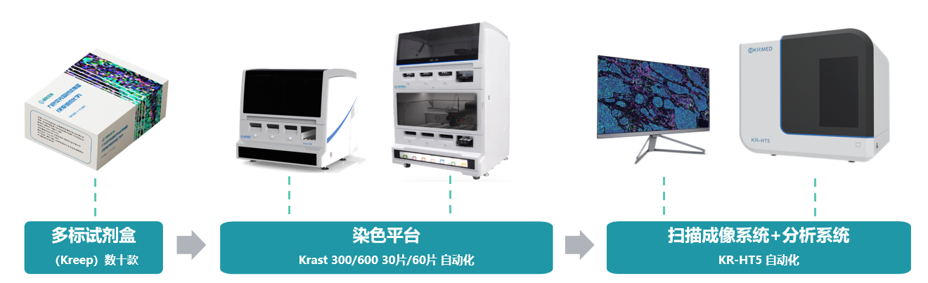 十大滚球体育app