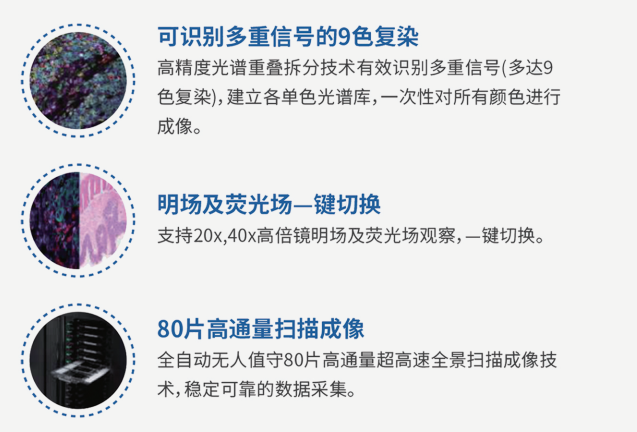 十大滚球体育app