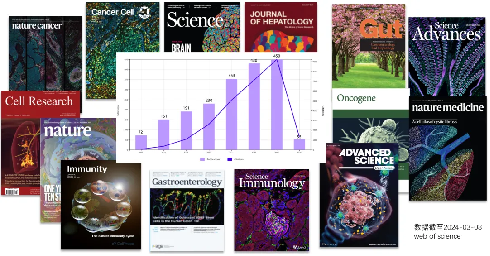 十大滚球体育app