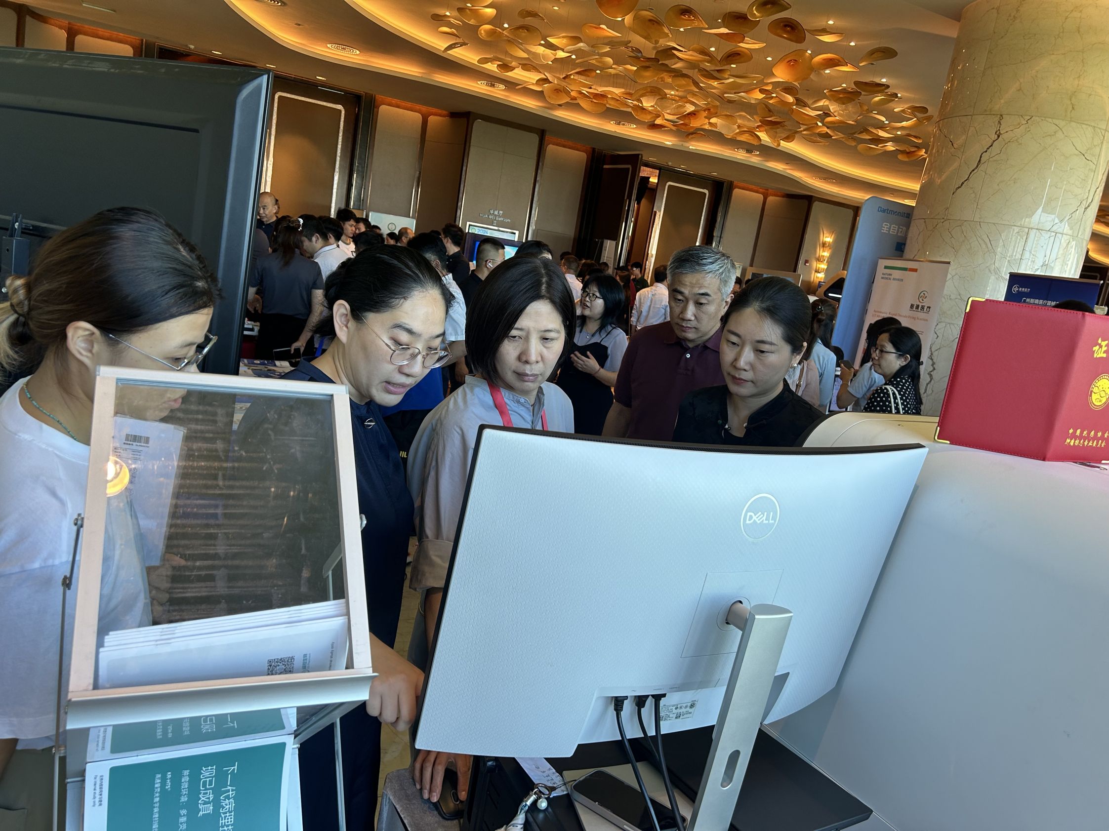 十大滚球体育app