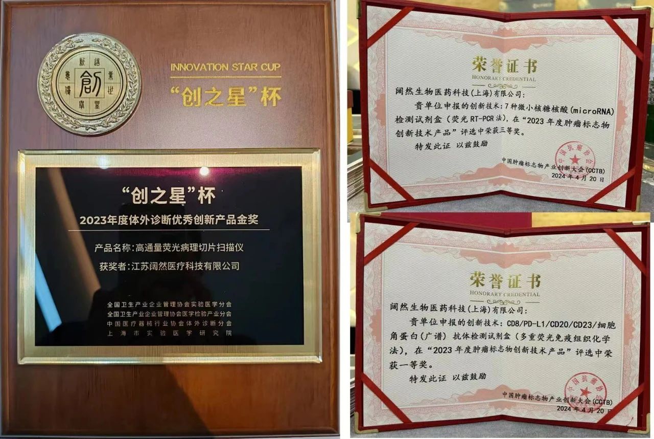 十大滚球体育app