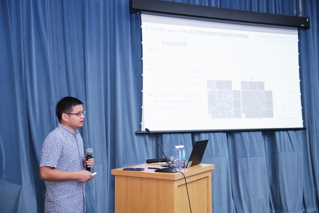 十大滚球体育app