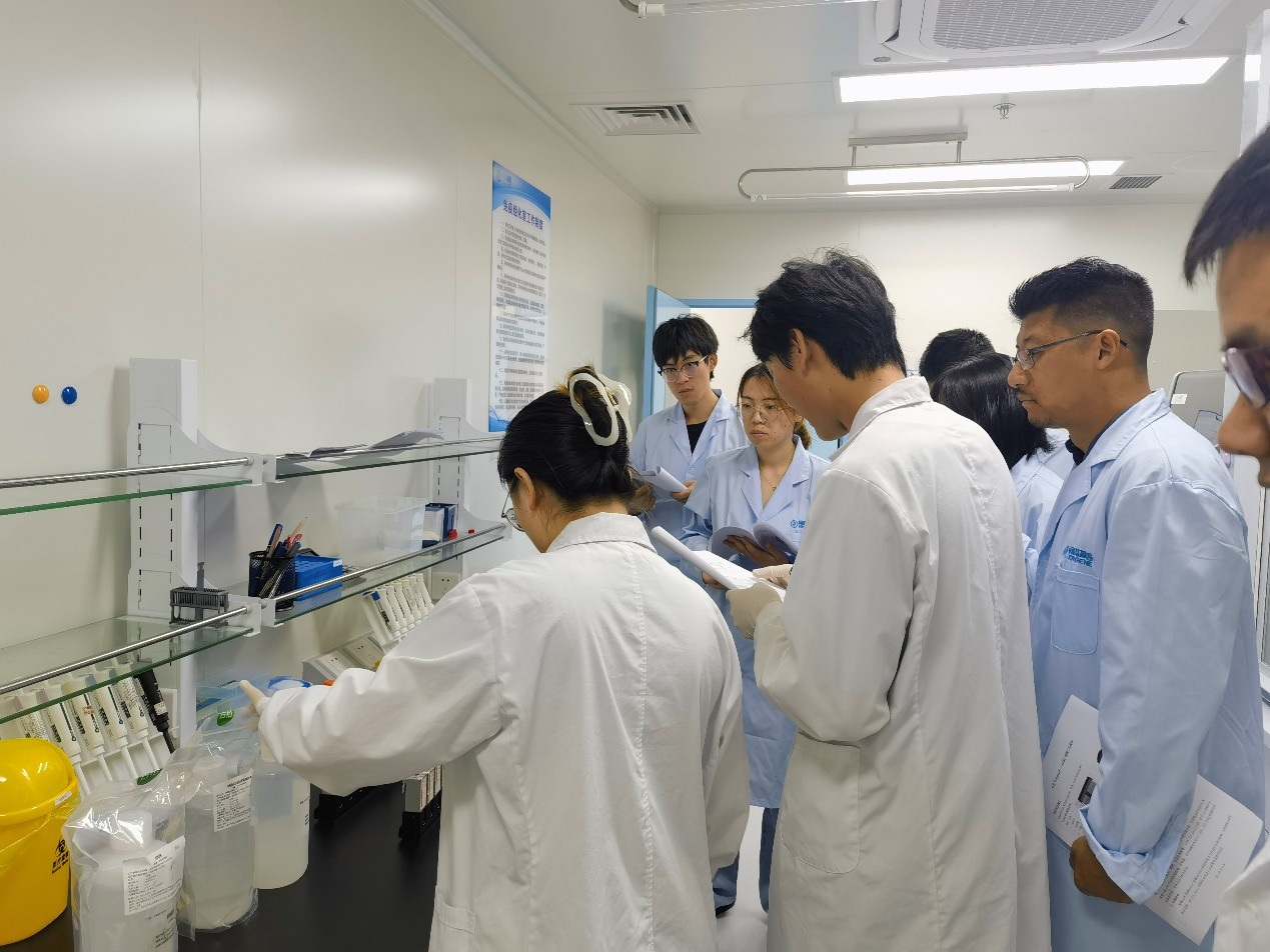 十大滚球体育app