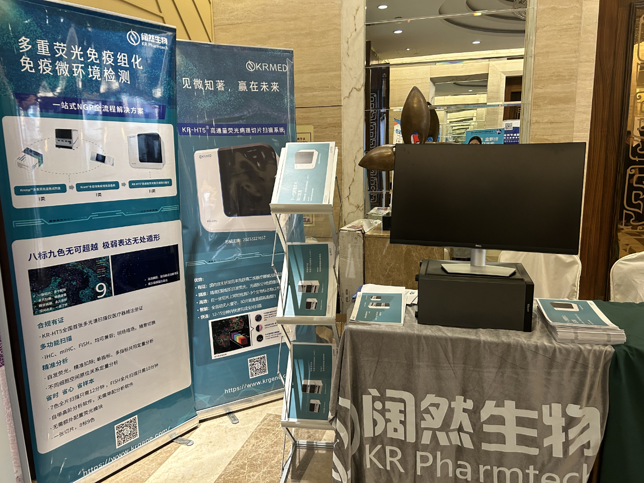 十大滚球体育app