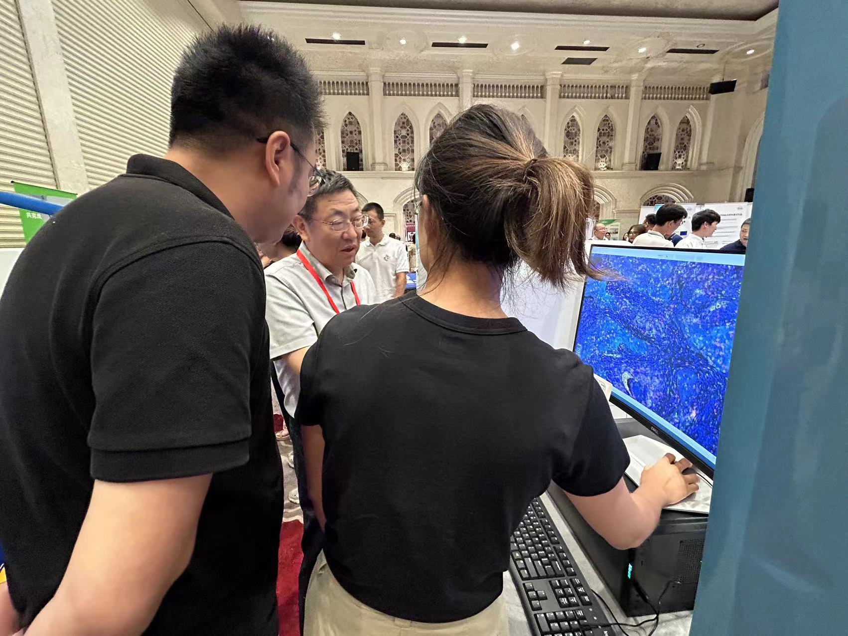 十大滚球体育app