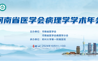 十大滚球体育app