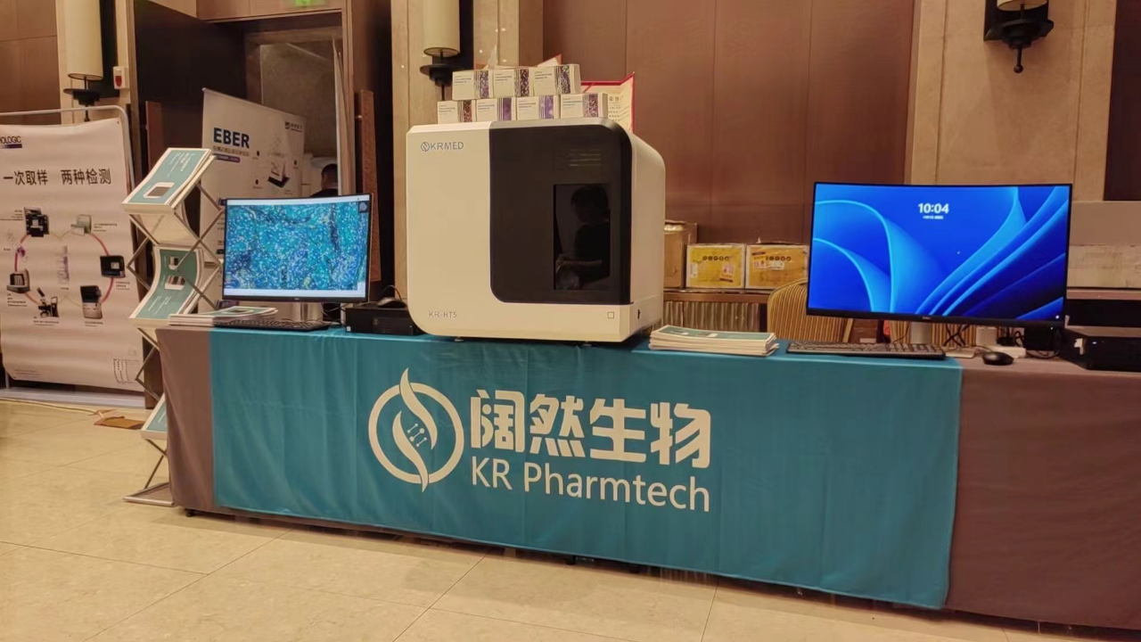 十大滚球体育app