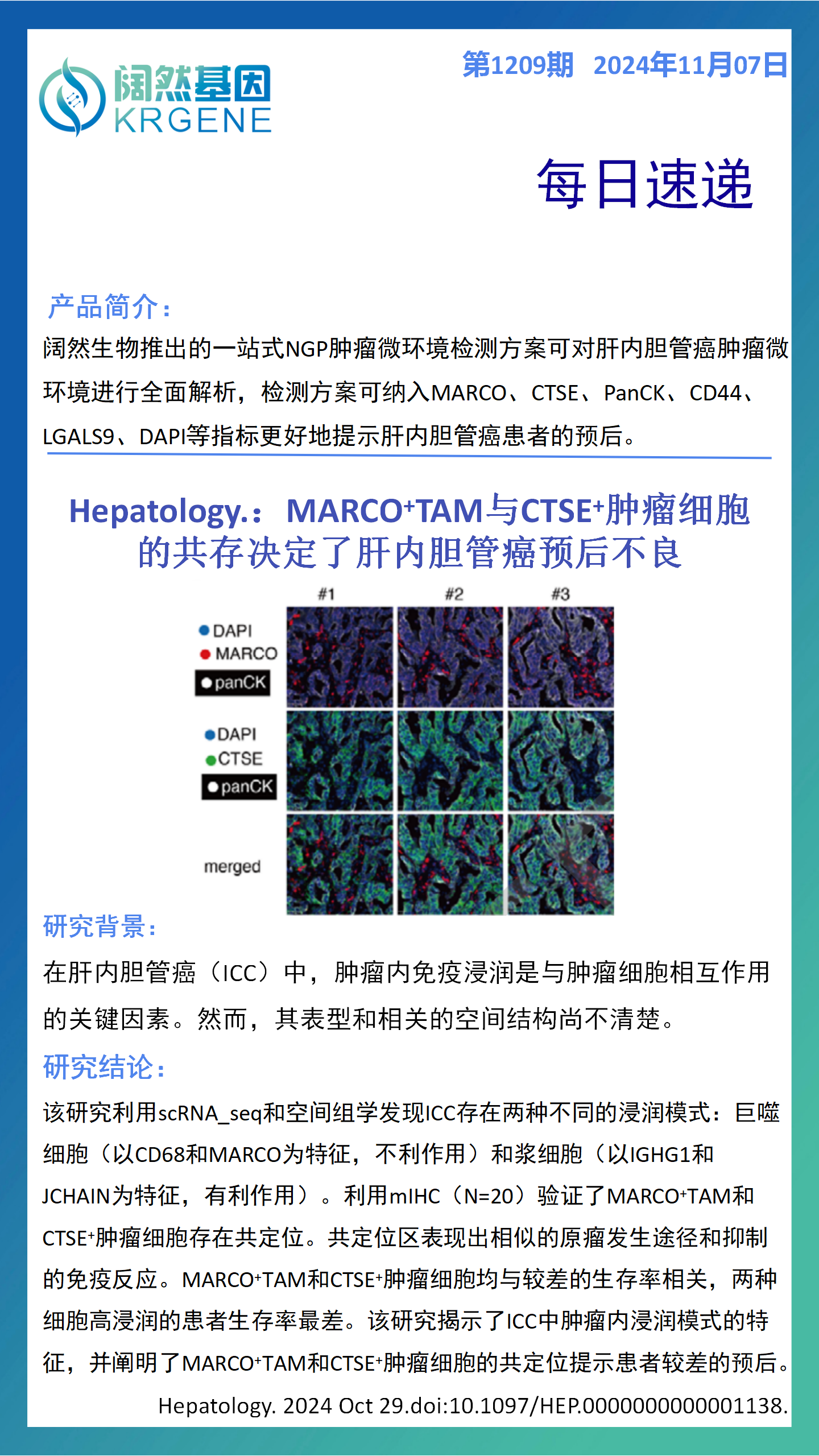 十大滚球体育app