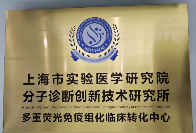 十大滚球体育app