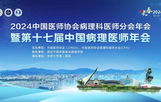 十大滚球体育app