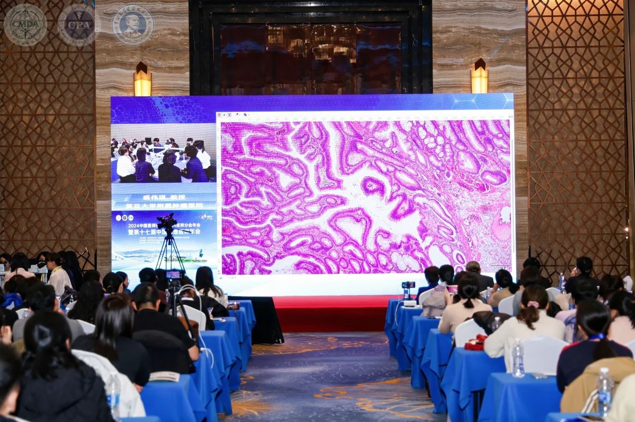 十大滚球体育app