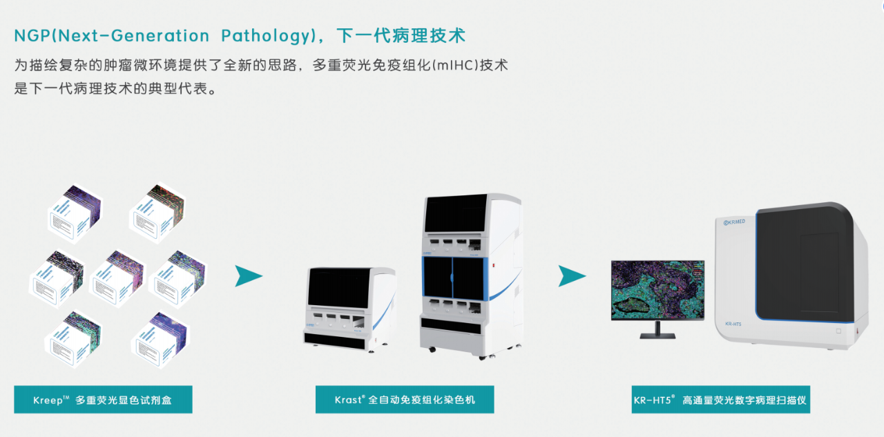 十大滚球体育app