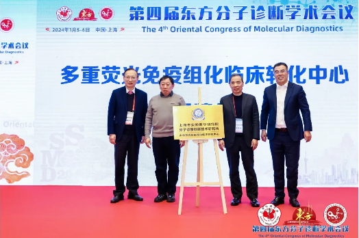 十大滚球体育app