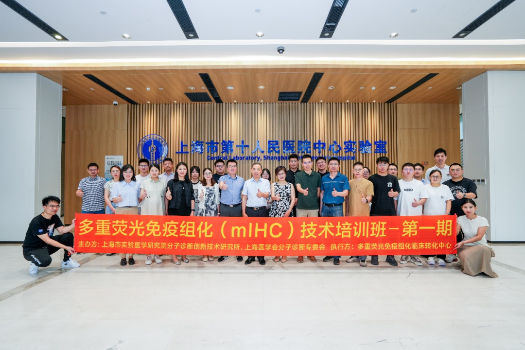 十大滚球体育app