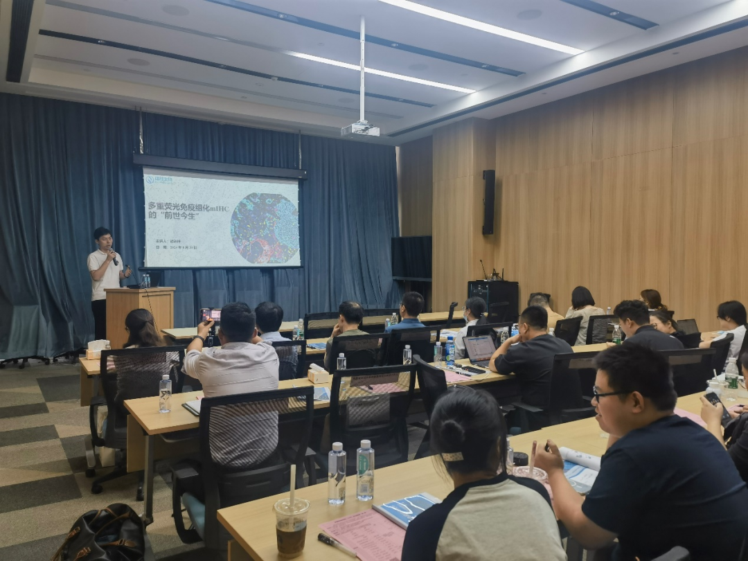 十大滚球体育app