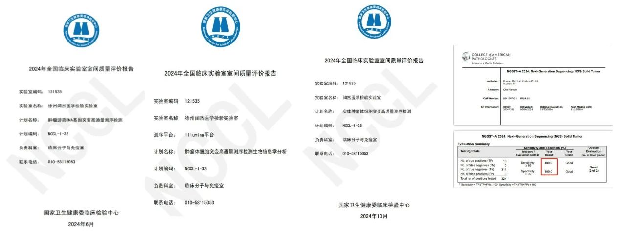 十大滚球体育app