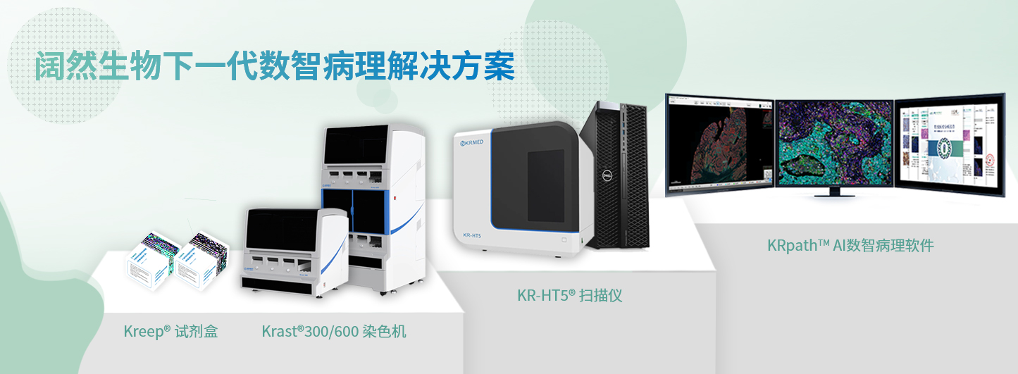 十大滚球体育app