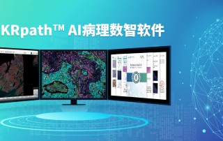 十大滚球体育app