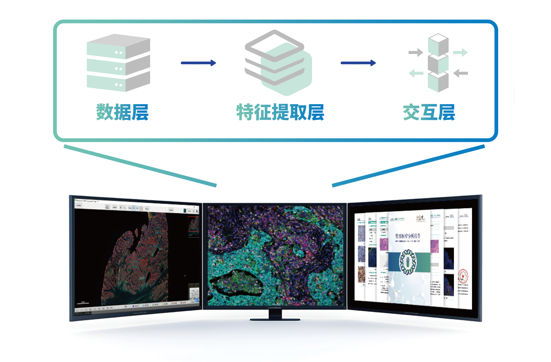 十大滚球体育app