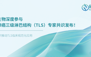 十大滚球体育app