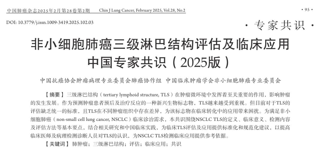 十大滚球体育app