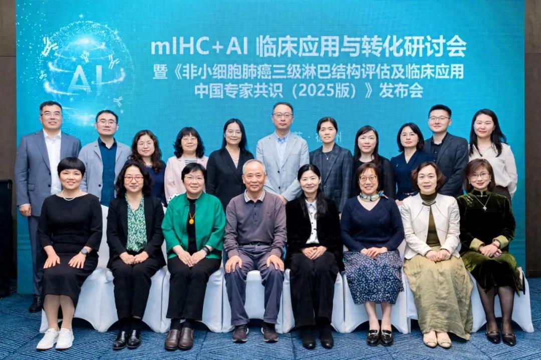 十大滚球体育app