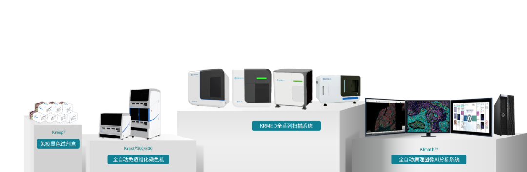 十大滚球体育app