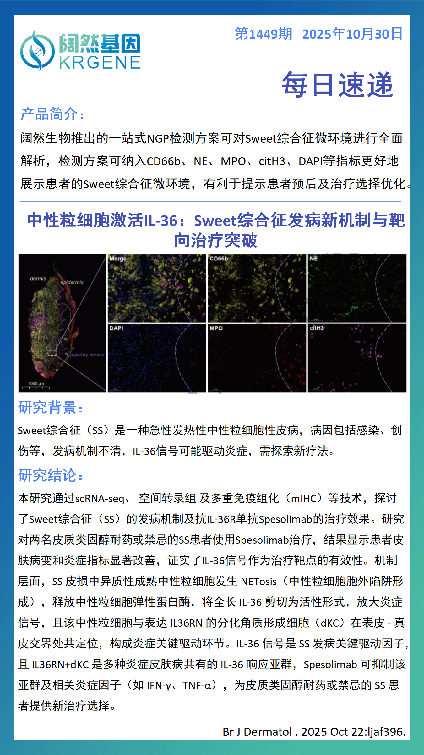 十大滚球体育app