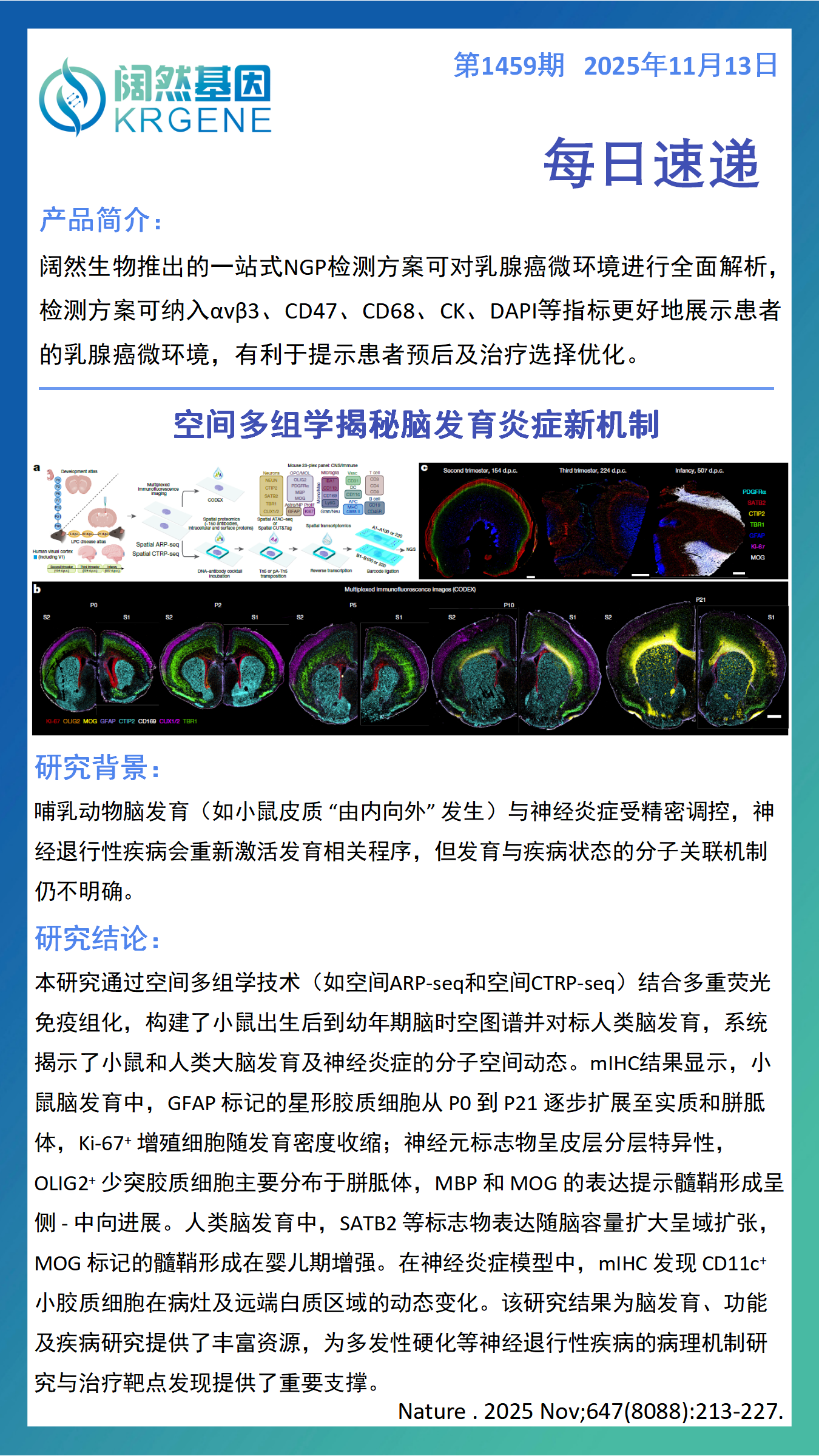 十大滚球体育app