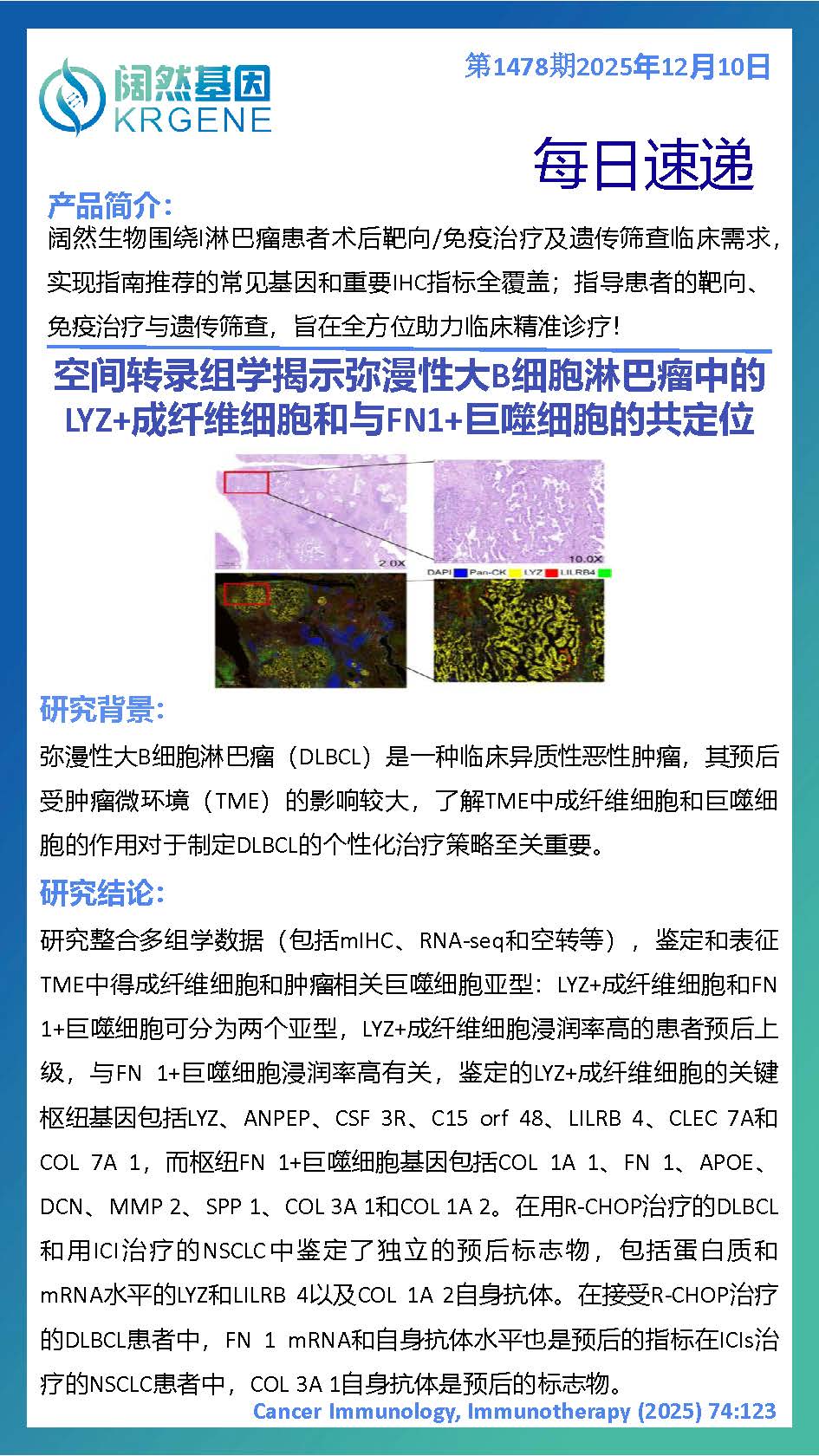 十大滚球体育app