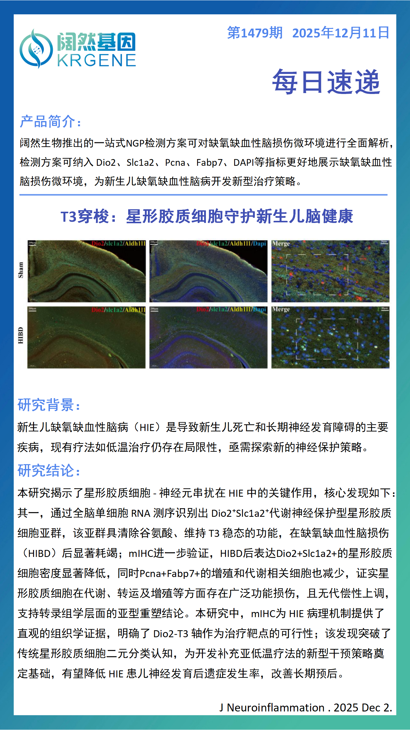 十大滚球体育app