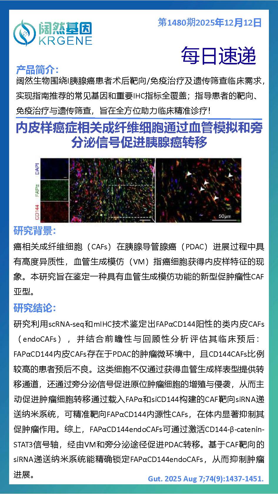 十大滚球体育app