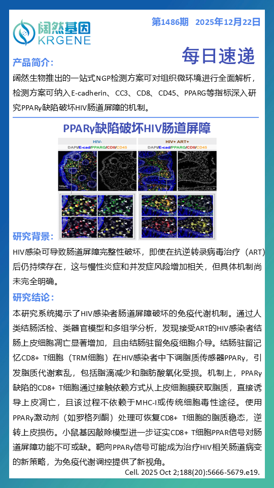 十大滚球体育app