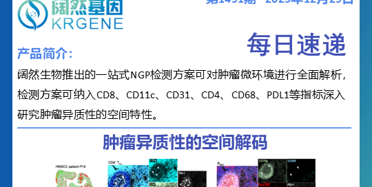 十大滚球体育app